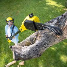 Best Organic Lawn Care Solutions  in Hometown, PA